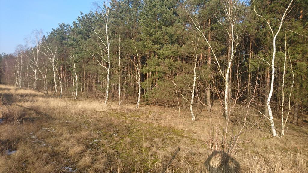 Fitnessfun Bed & Breakfast Krzyz Wielkopolski Luaran gambar