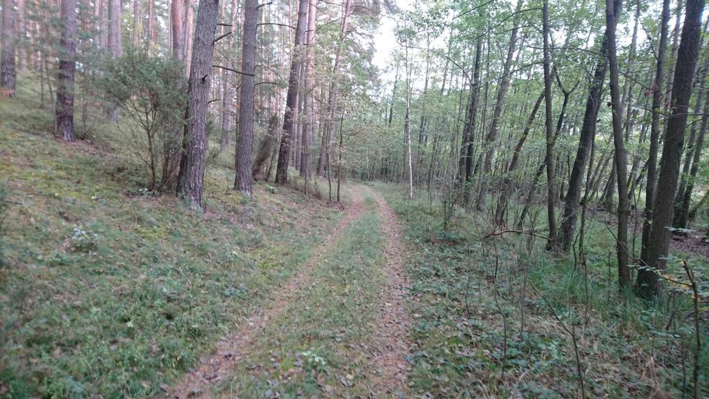 Fitnessfun Bed & Breakfast Krzyz Wielkopolski Luaran gambar