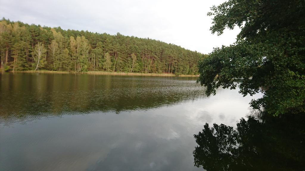 Fitnessfun Bed & Breakfast Krzyz Wielkopolski Luaran gambar