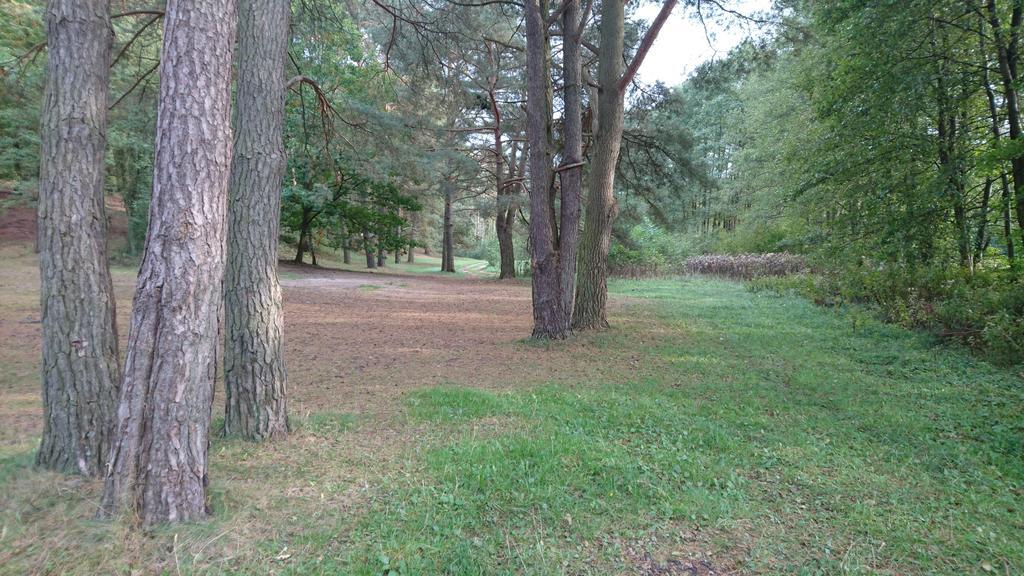 Fitnessfun Bed & Breakfast Krzyz Wielkopolski Luaran gambar