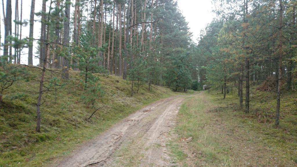 Fitnessfun Bed & Breakfast Krzyz Wielkopolski Luaran gambar